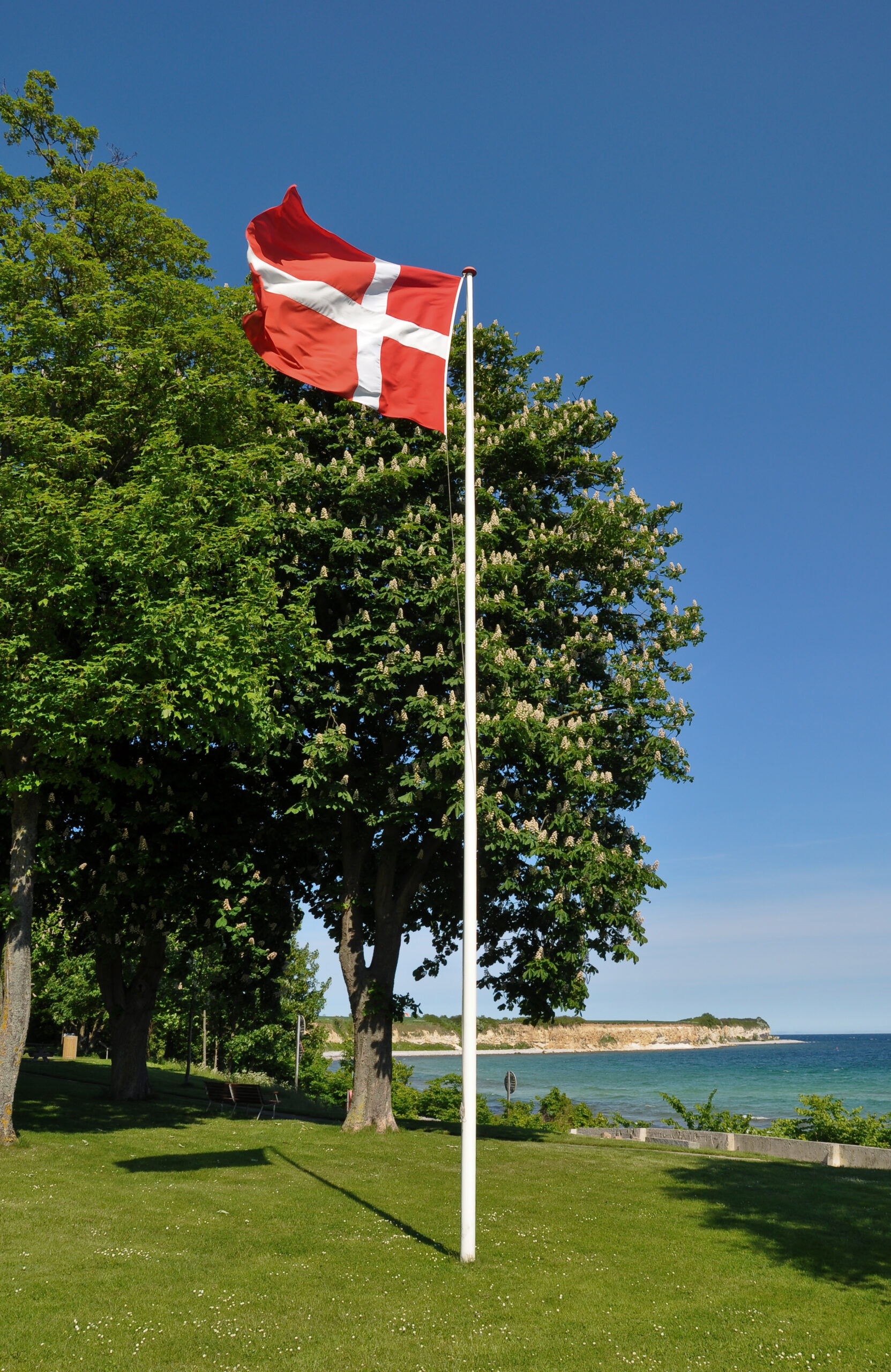 A Dannebrog flag on a tall private flagpole on a Danish coastal lawn, with the Cliff of Stevns in the distance.